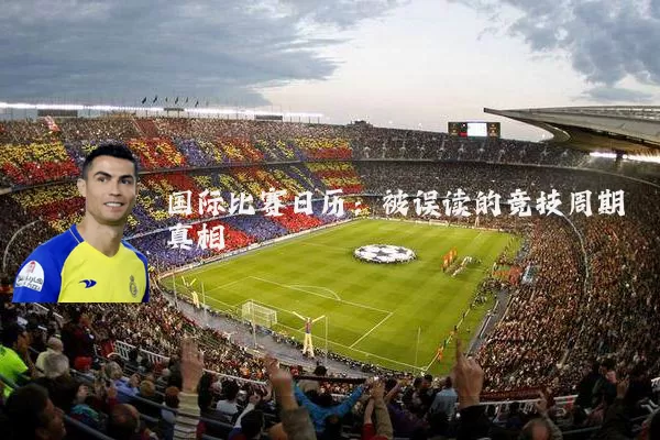 国际比赛日历：被误读的竞技周期真相